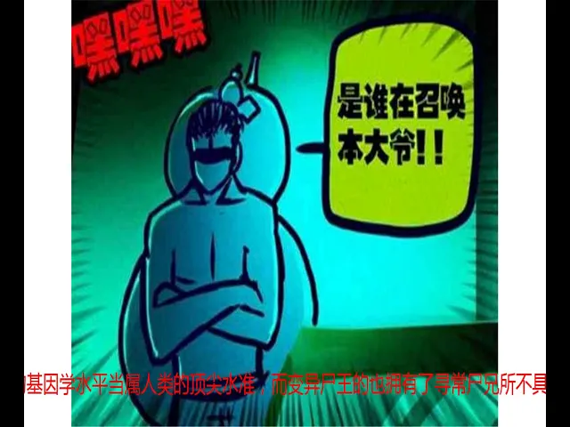 尸兄: 小金刚最该感谢的一对父子,成为他战胜龙右的王牌